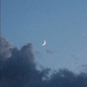 Meet your Posher, Emilie